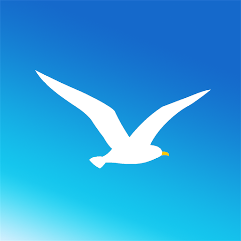海鸥vp官方正版